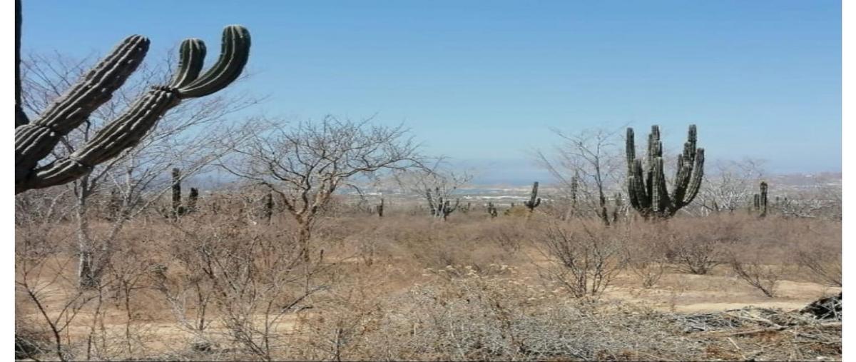 Foto de terreno habitacional en venta en  , el tezal, los cabos, baja california sur, 27524258 No. 03