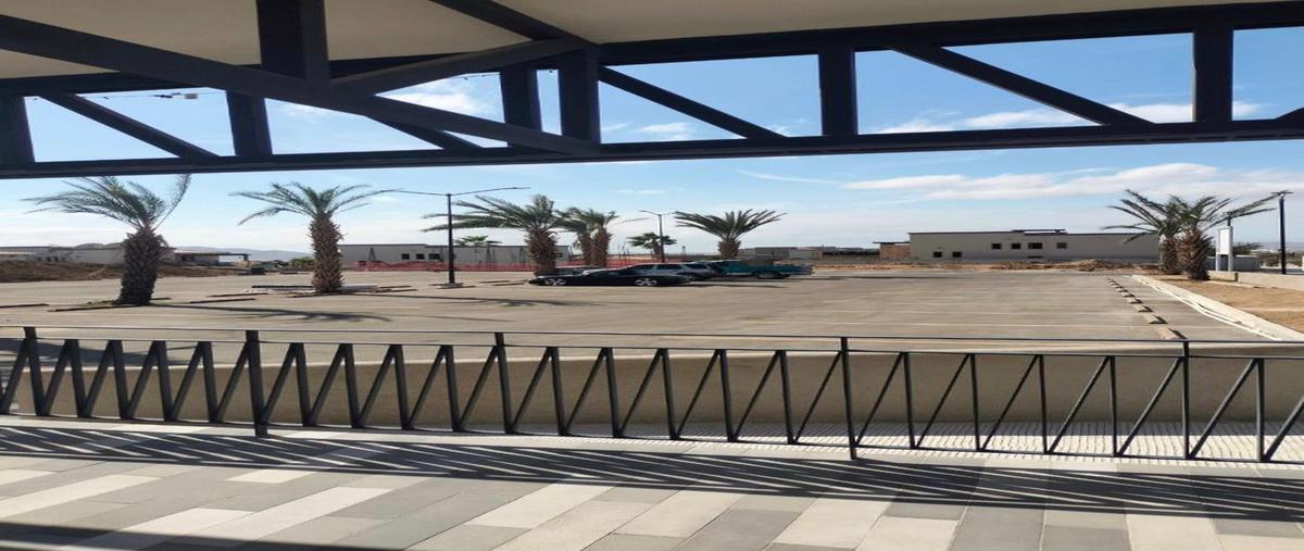 Foto de local en renta en  , el tezal, los cabos, baja california sur, 0 No. 04