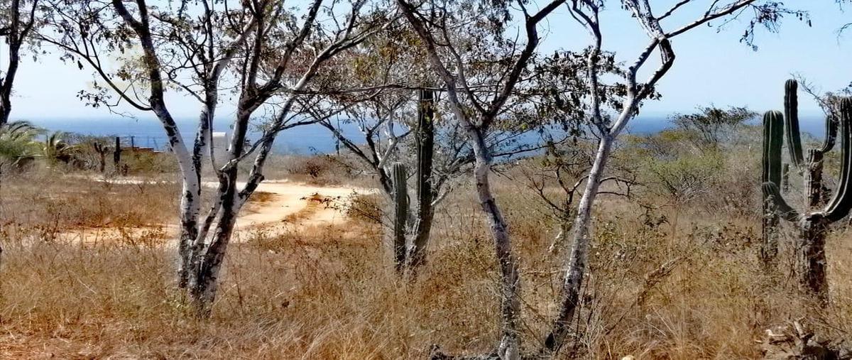 Foto de terreno habitacional en venta en  , el tezal, los cabos, baja california sur, 30298920 No. 02