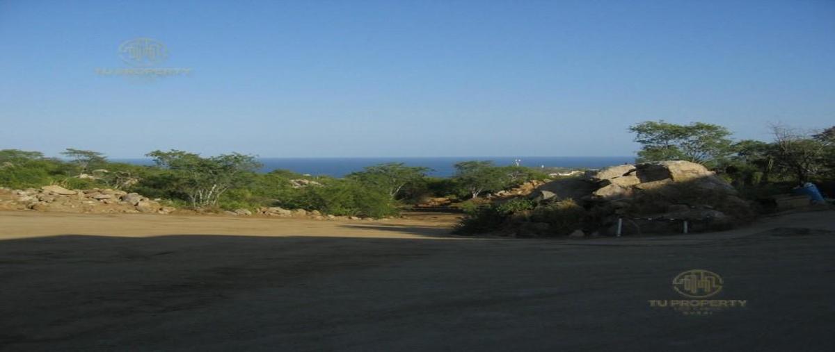 Foto de terreno habitacional en venta en  , el tezal, los cabos, baja california sur, 30298929 No. 03