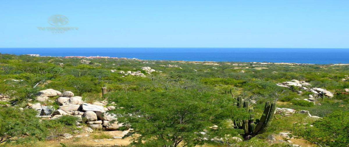 Foto de terreno habitacional en venta en  , el tezal, los cabos, baja california sur, 30298929 No. 05