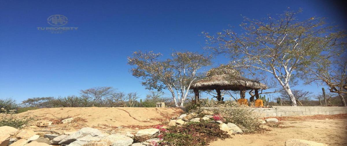 Foto de terreno habitacional en venta en  , el tezal, los cabos, baja california sur, 30298934 No. 02