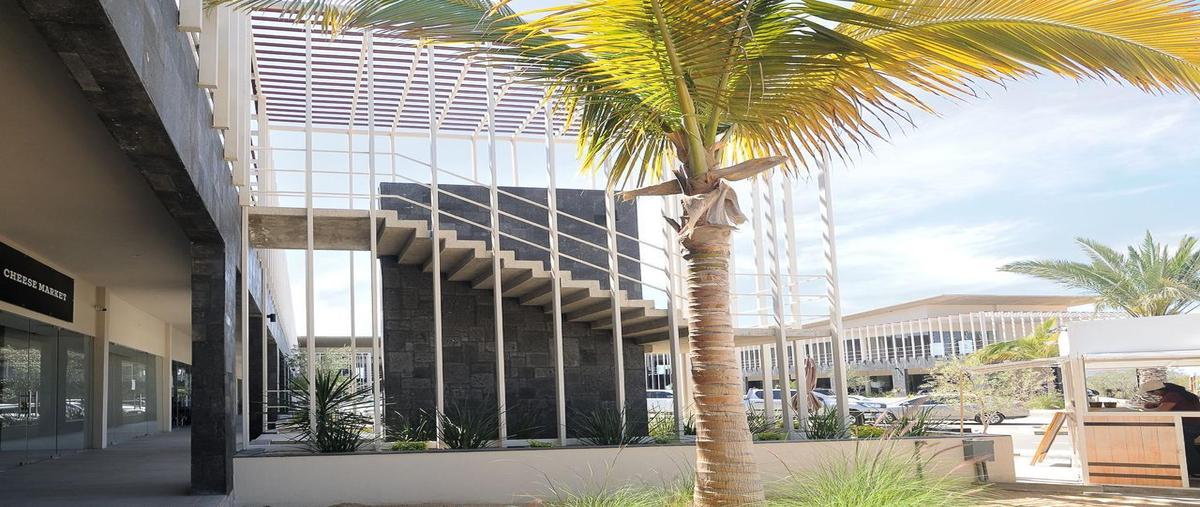 Foto de local en renta en  , el tezal, los cabos, baja california sur, 0 No. 04