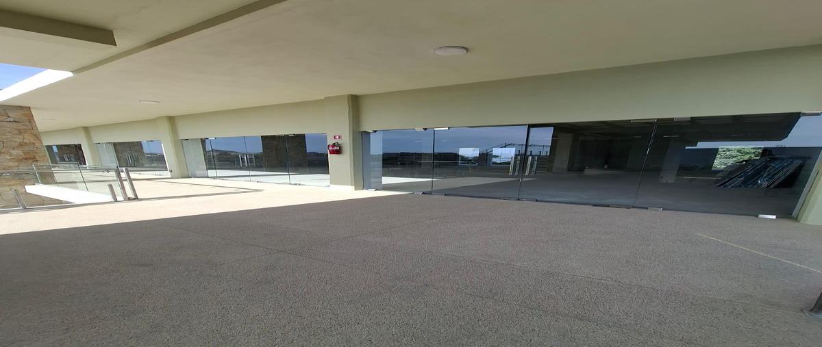 Foto de local en renta en  , el tezal, los cabos, baja california sur, 0 No. 05