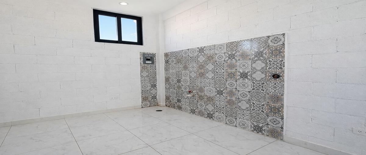 Foto de local en renta en  , el tezal, los cabos, baja california sur, 0 No. 05
