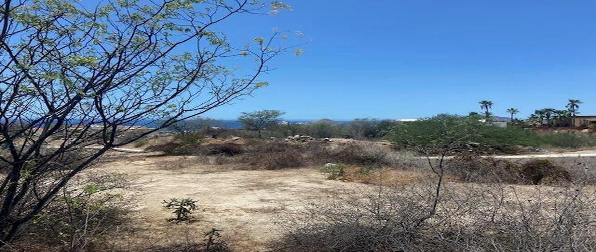 Foto de terreno habitacional en venta en  , el tezal, los cabos, baja california sur, 0 No. 05