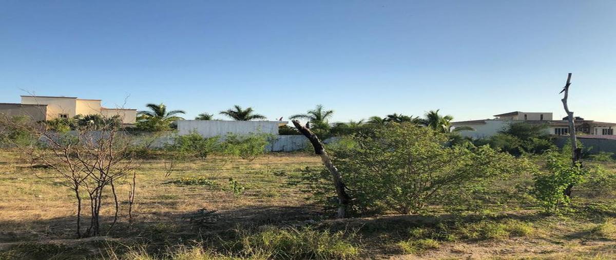 Foto de terreno habitacional en venta en  , el tezal, los cabos, baja california sur, 6708674 No. 04