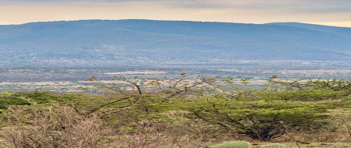 Foto de terreno habitacional en venta en el tigre , el tigre, san miguel de allende, guanajuato, 0 No. 04