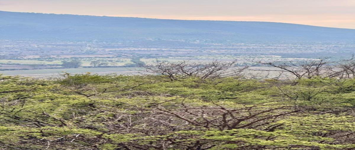 Foto de terreno habitacional en venta en el tigre , el tigre, san miguel de allende, guanajuato, 0 No. 05