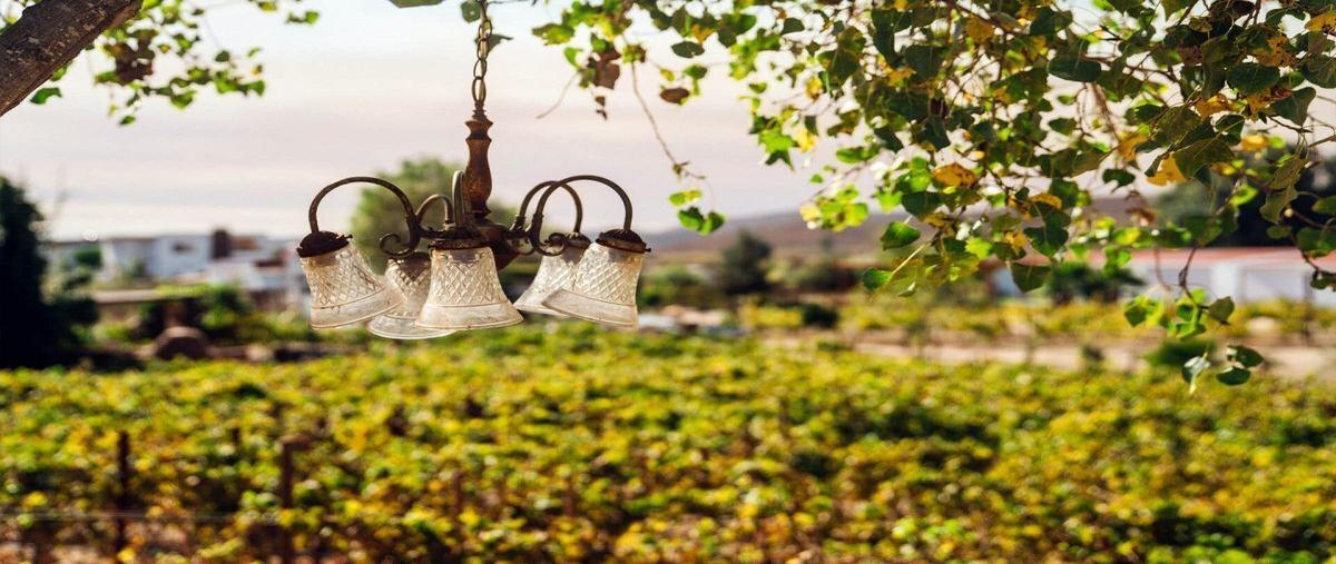 Foto de terreno habitacional en venta en el tigre , francisco zarco (valle de guadalupe), ensenada, baja california, 28265087 No. 03