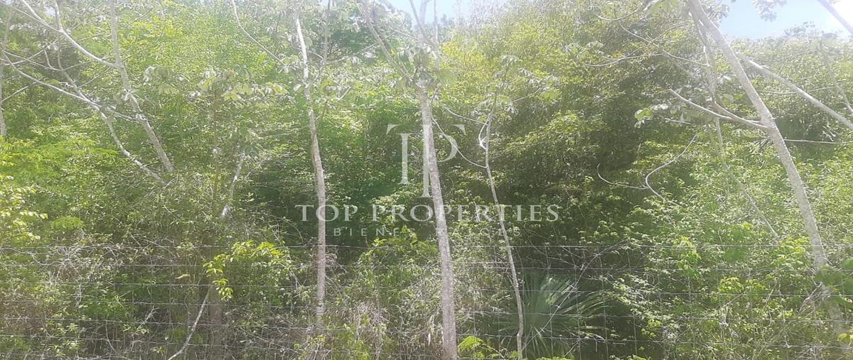 Foto de terreno comercial en venta en  , el tintal, lázaro cárdenas, quintana roo, 0 No. 03
