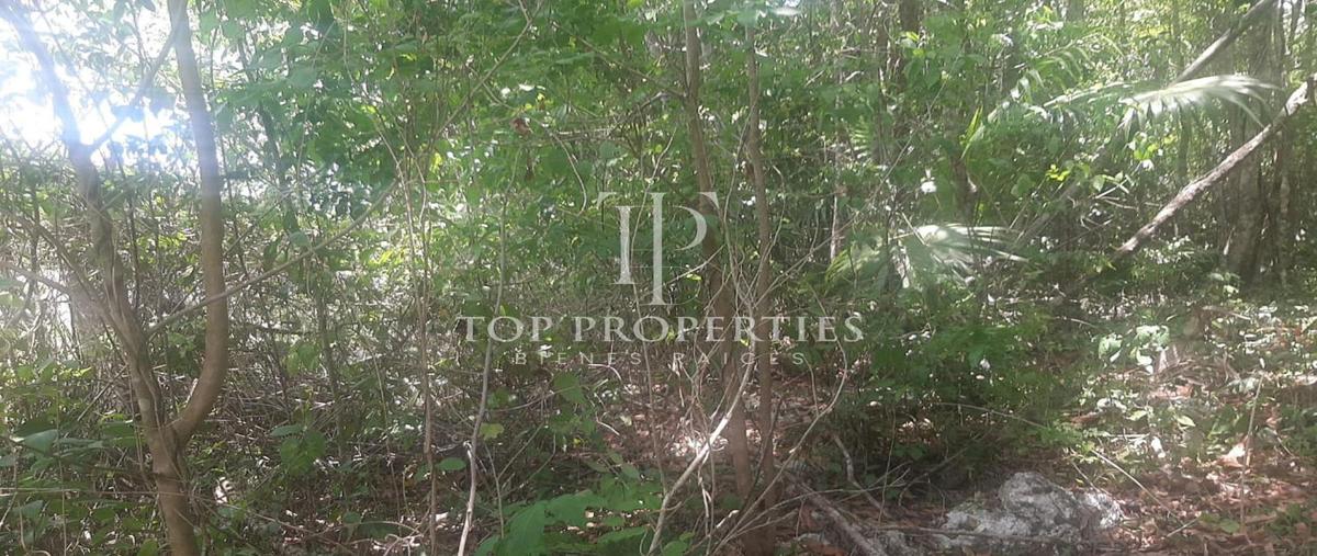 Foto de terreno comercial en venta en  , el tintal, lázaro cárdenas, quintana roo, 0 No. 05