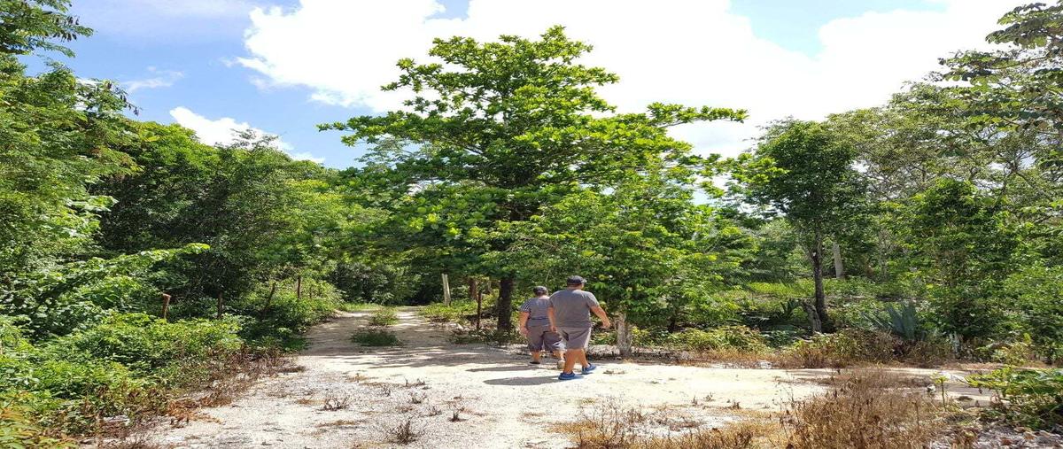 Foto de terreno habitacional en venta en  , el tintal, lázaro cárdenas, quintana roo, 0 No. 05