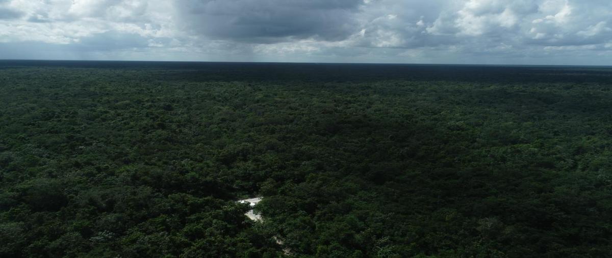 Foto de terreno habitacional en venta en  , el tintal, lázaro cárdenas, quintana roo, 0 No. 04