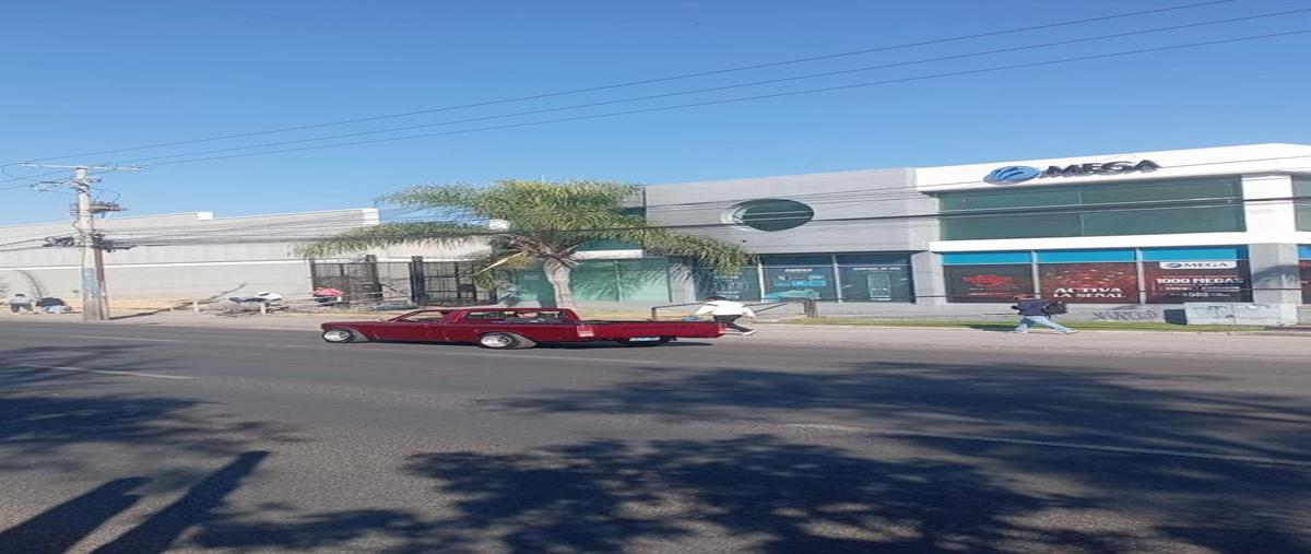 Foto de local en renta en  , el tlacuache, león, guanajuato, 0 No. 05