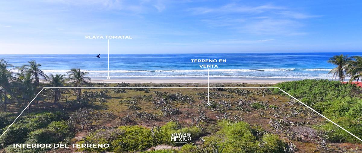 Foto de terreno habitacional en venta en  , el tomatal, santa maría colotepec, oaxaca, 28967642 No. 03