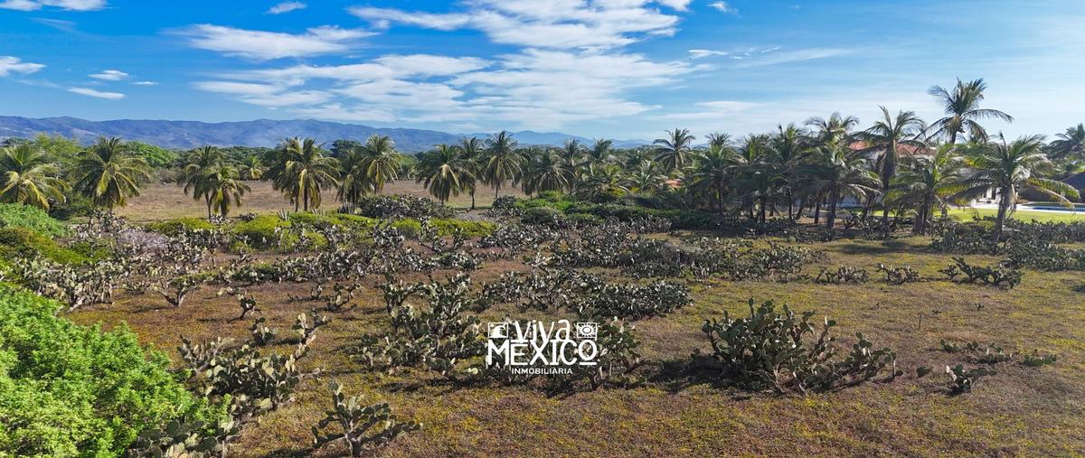 Foto de terreno habitacional en venta en  , el tomatal, santa maría colotepec, oaxaca, 0 No. 04