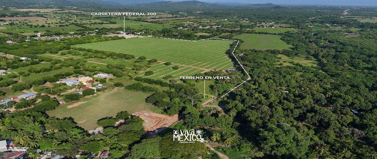 Foto de terreno habitacional en venta en  , el tomatal, santa maría colotepec, oaxaca, 0 No. 03