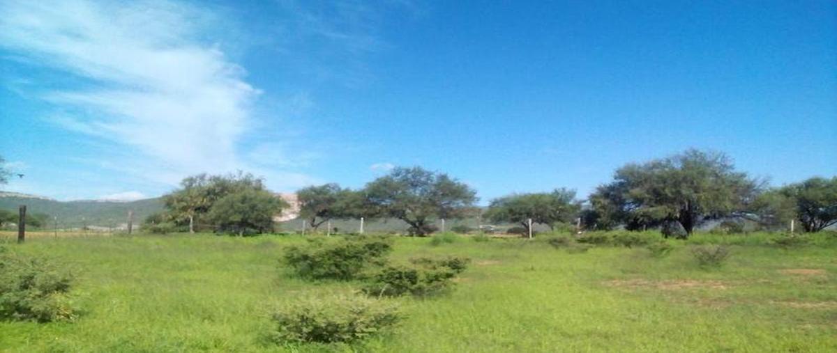 Foto de terreno habitacional en venta en  , el torito, jesús maría, aguascalientes, 0 No. 03