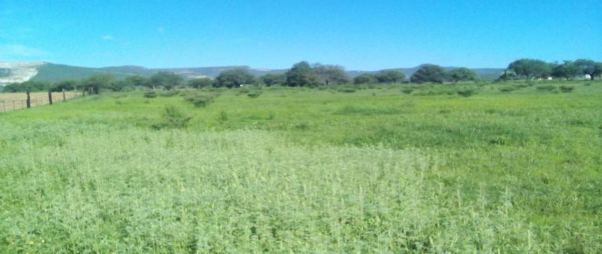 Foto de terreno habitacional en venta en  , el torito, jesús maría, aguascalientes, 0 No. 05