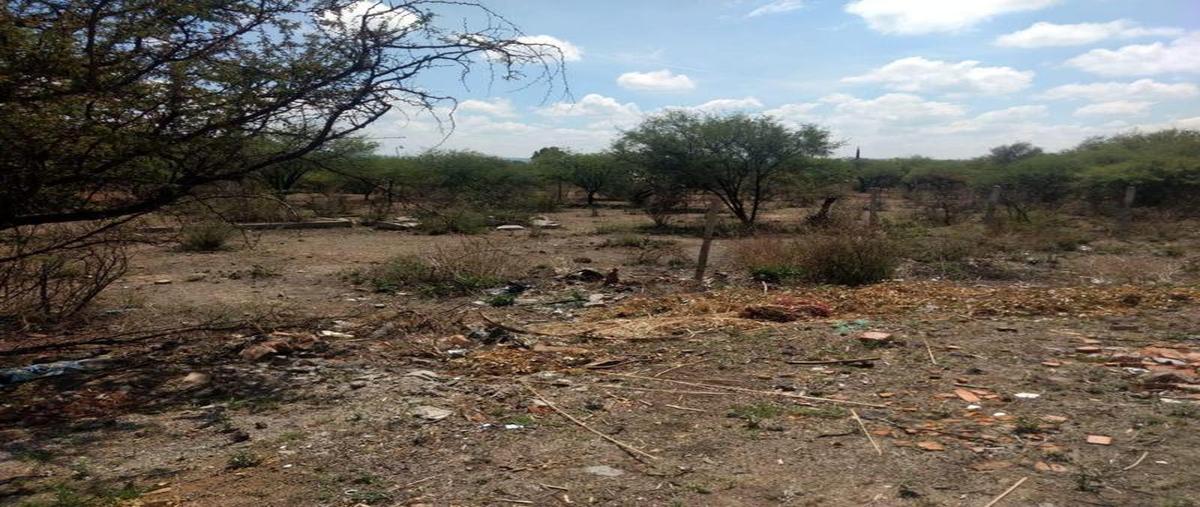 Foto de terreno habitacional en venta en  , el torito, jesús maría, aguascalientes, 0 No. 05