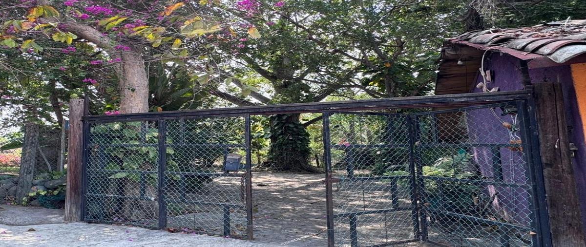 Foto de rancho en , el trapiche, cuauhtémoc, colima, 0 foto 05 Foto de rancho en venta en , el trapiche, cuauhtémoc, colima, 0 No. 05