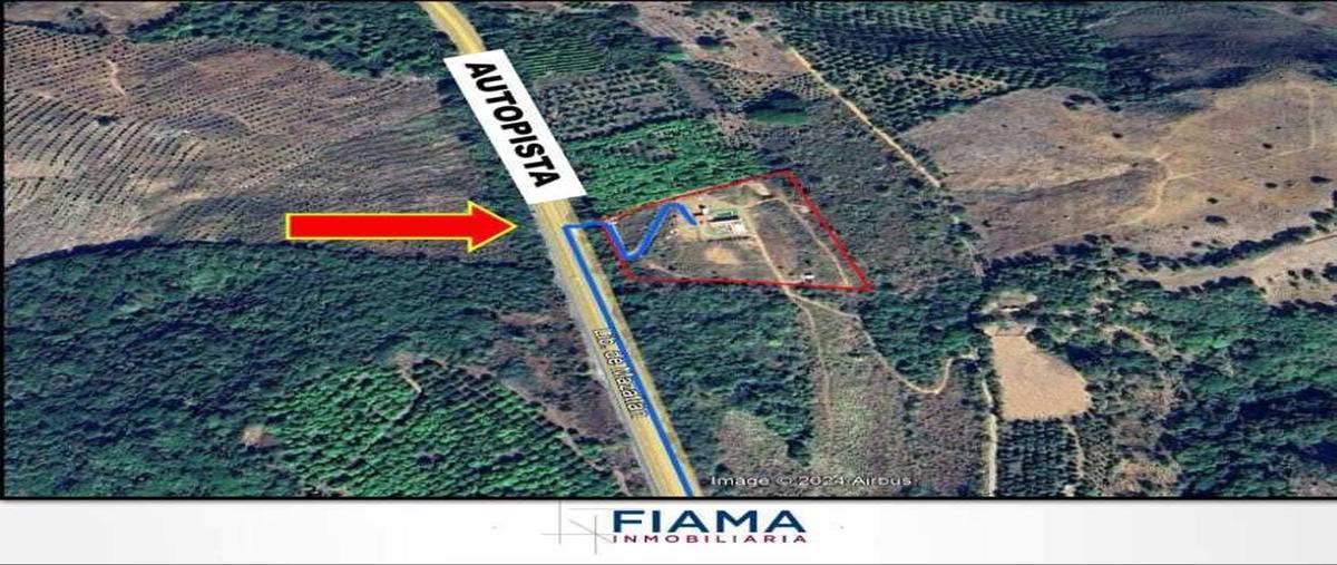 Foto de rancho en venta en  , el trapichillo, tepic, nayarit, 28196408 No. 04