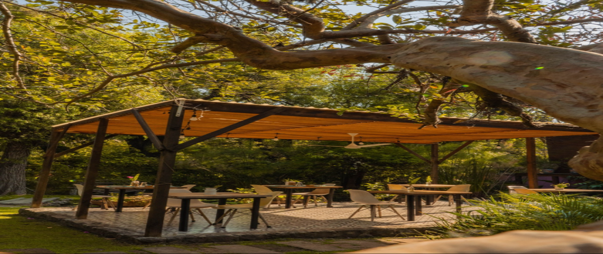 Foto de edificio en venta en el trapichito 0, la soledad, malinalco, méxico, 29543959 No. 03