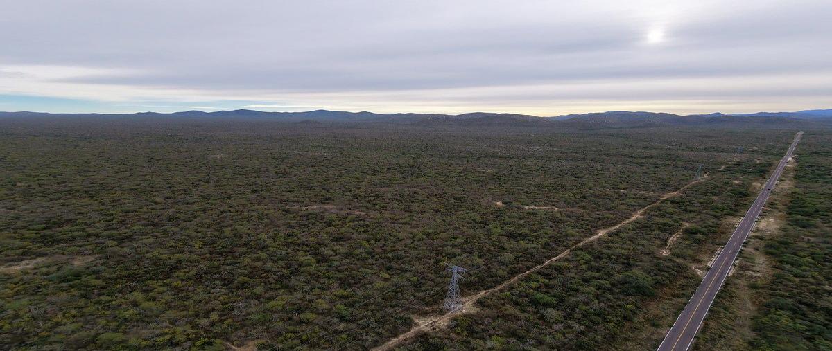 Foto de terreno habitacional en venta en  , el triunfo, la paz, baja california sur, 0 No. 07