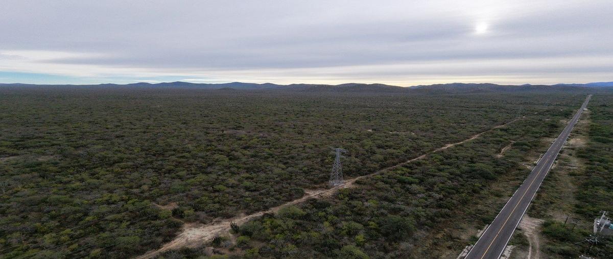 Foto de terreno habitacional en venta en  , el triunfo, la paz, baja california sur, 0 No. 08