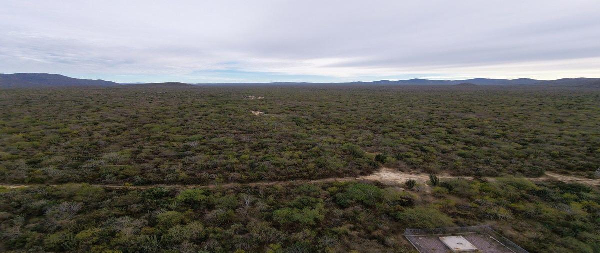 Foto de terreno habitacional en venta en  , el triunfo, la paz, baja california sur, 0 No. 09