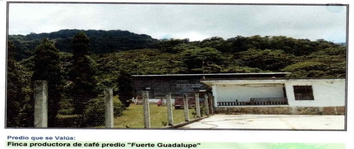 Foto de rancho en venta en el triunfo whi276909, el triunfo, la independencia, chiapas, 0 No. 04