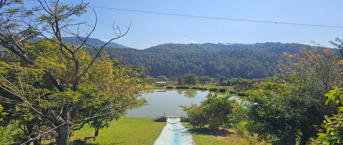 Foto de terreno habitacional en venta en el tule , la albarrada (san francisco la albarrada), temascaltepec, méxico, 29022719 No. 03