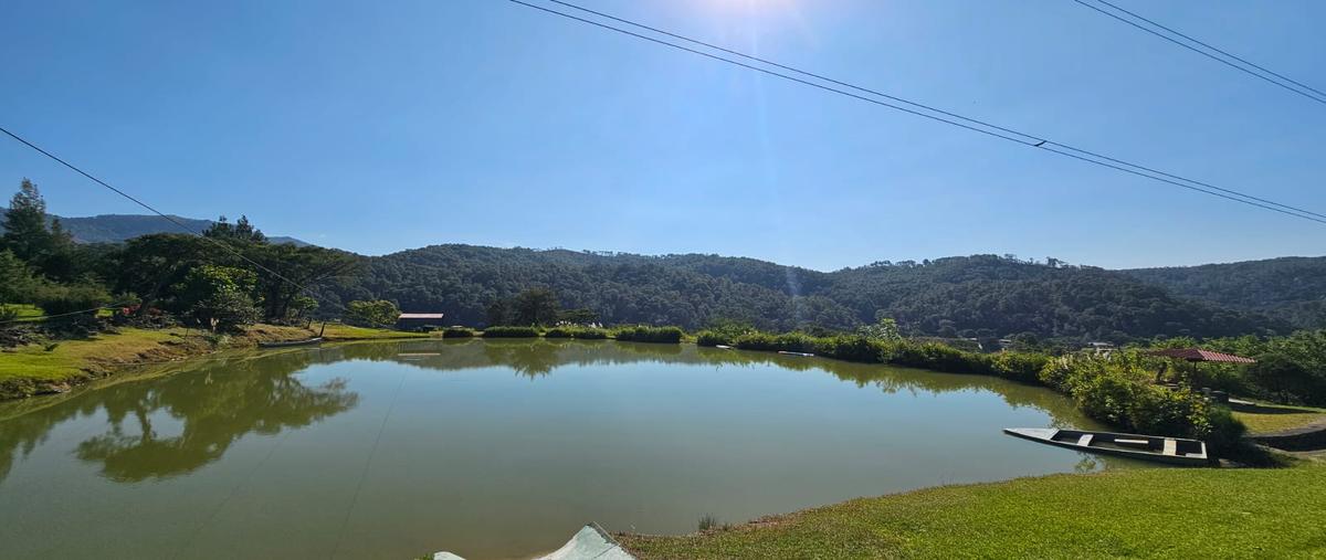 Foto de terreno habitacional en venta en el tule , la albarrada (san francisco la albarrada), temascaltepec, méxico, 29022719 No. 04