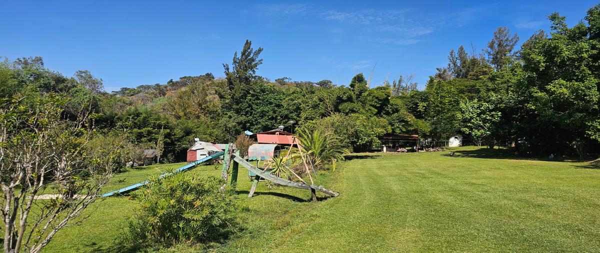 Foto de terreno habitacional en venta en el tule , la albarrada (san francisco la albarrada), temascaltepec, méxico, 29022719 No. 06