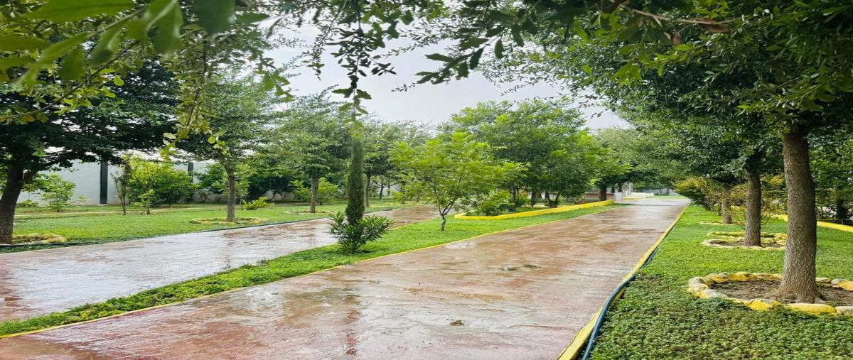 Foto de casa en venta en  , el tule, salinas victoria, nuevo león, 0 No. 04