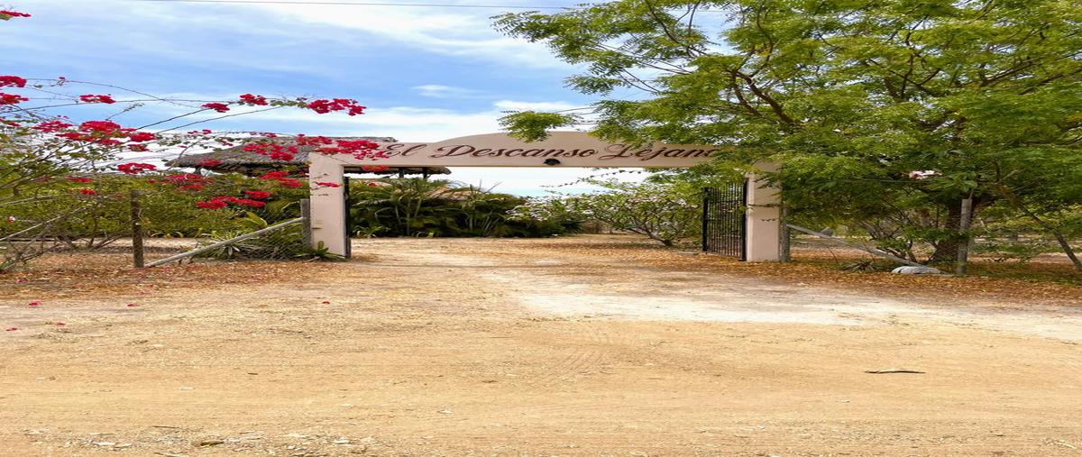 Foto de rancho en venta en  , el tule, santa maría tonameca, oaxaca, 29844956 No. 04