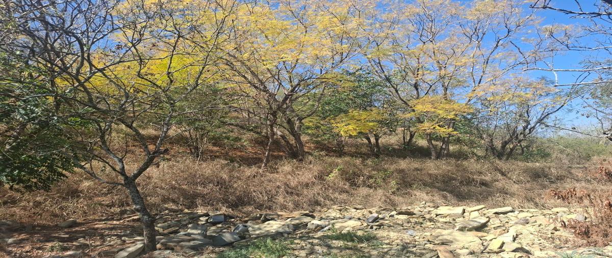 Foto de terreno habitacional en , el uro, monterrey, nuevo león, 0 foto 05 Foto de terreno habitacional en venta en , el uro, monterrey, nuevo león, 0 No. 05