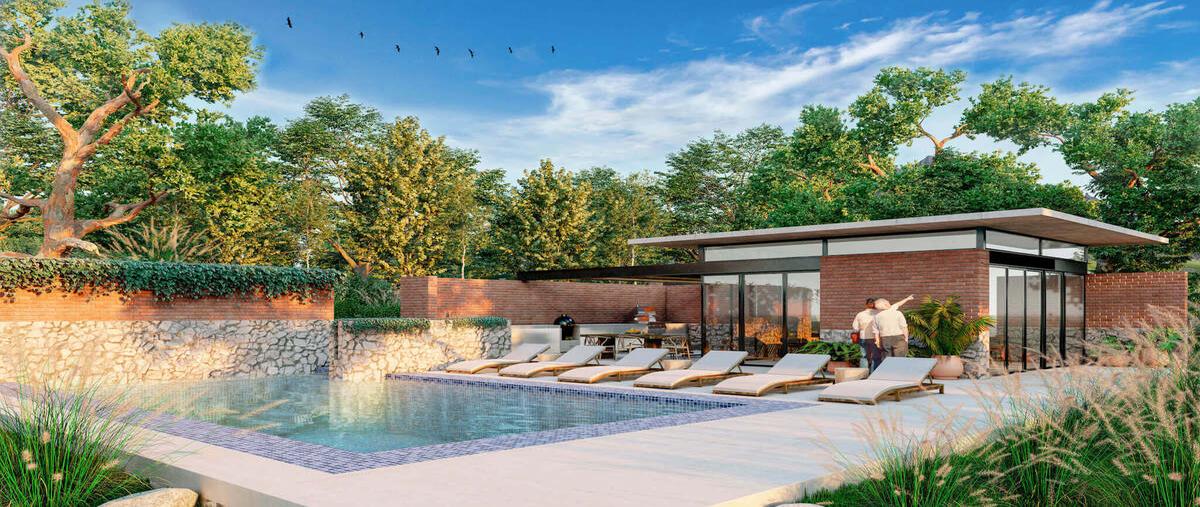 Foto de terreno habitacional en venta en el uro , villa las flores, monterrey, nuevo león, 30126046 No. 05