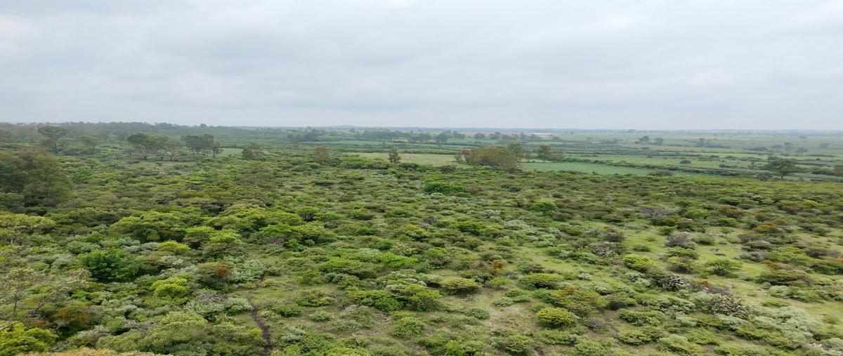 Foto de terreno habitacional en venta en  , el vegil, huimilpan, querétaro, 30147700 No. 04