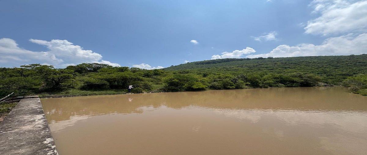 Foto de terreno habitacional en venta en  , el vegil, huimilpan, querétaro, 0 No. 08