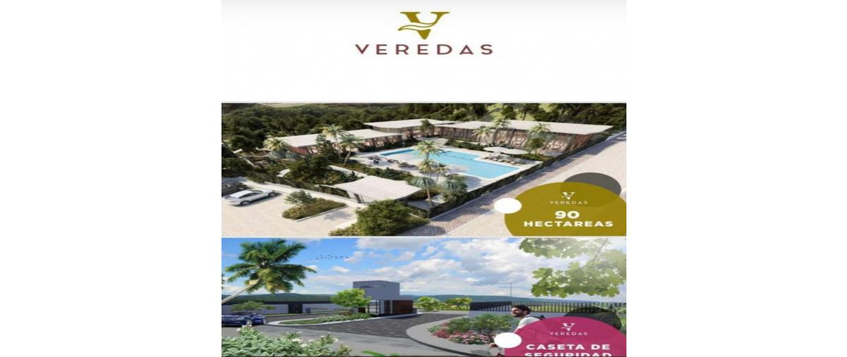 Foto de terreno habitacional en , el venadillo, mazatlán, sinaloa, 0 foto 04 Foto de terreno habitacional en venta en , el venadillo, mazatlán, sinaloa, 0 No. 04