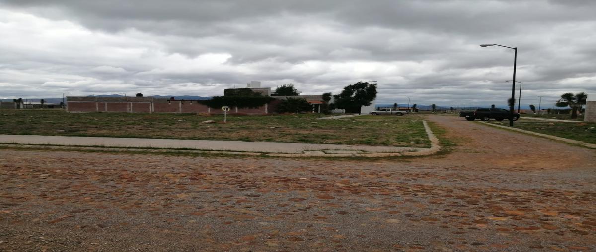 Foto de terreno habitacional en venta en  , el verde, villa de reyes, san luis potosí, 27113383 No. 04