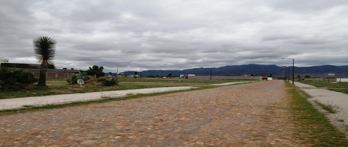 Foto de terreno habitacional en venta en  , el verde, villa de reyes, san luis potosí, 27113384 No. 03