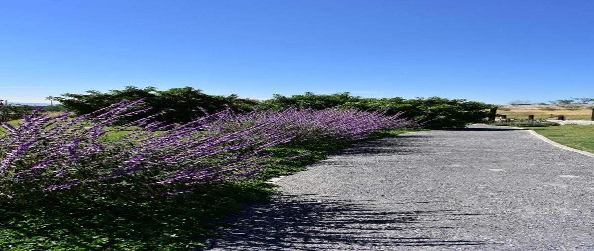 Foto de terreno habitacional en , el vergel de los laureles, san miguel de allende, guanajuato, 0 foto 04 Foto de terreno habitacional en venta en , el vergel de los laureles, san miguel de allende, guanajuato, 0 No. 04
