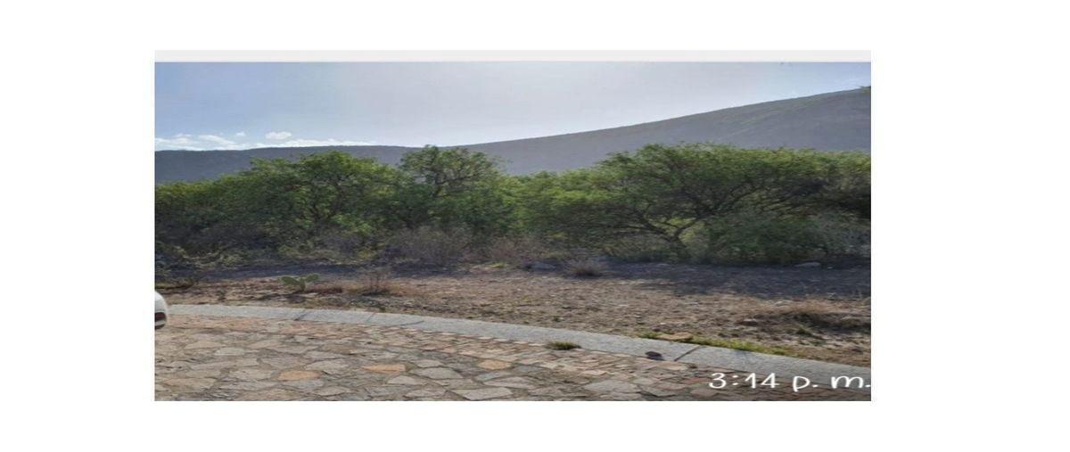 Foto de terreno habitacional en venta en  , el vergel, tequisquiapan, querétaro, 0 No. 05