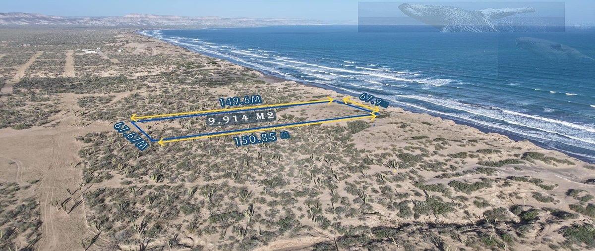 Foto de terreno habitacional en , el vuelo del águila, la paz, baja california sur, 0 foto 01 Foto de terreno habitacional en venta en , el vuelo del águila, la paz, baja california sur, 0 No. 01