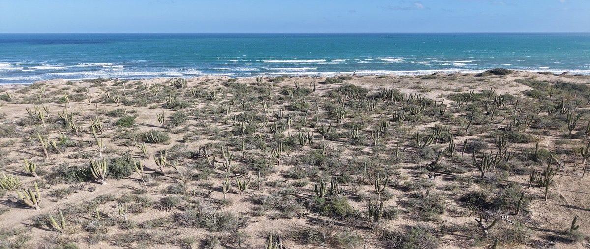 Foto de terreno habitacional en , el vuelo del águila, la paz, baja california sur, 0 foto 04 Foto de terreno habitacional en venta en , el vuelo del águila, la paz, baja california sur, 0 No. 04