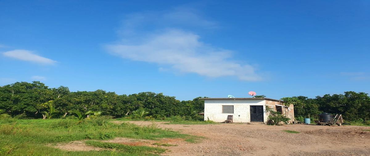 Foto de terreno habitacional en , el walamo, mazatlán, sinaloa, 27116420 foto 05 Foto de terreno habitacional en venta en , el walamo, mazatlán, sinaloa, 27116420 No. 05