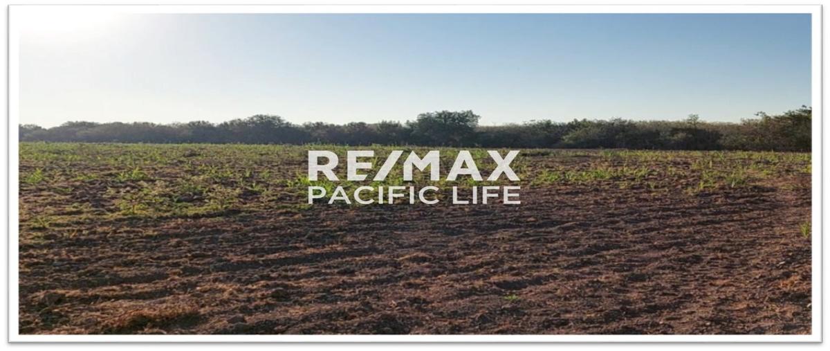 Foto de terreno comercial en el walamo , villa unión centro, mazatlán, sinaloa, 27897427 foto 02 Foto de terreno comercial en venta en el walamo , villa unión centro, mazatlán, sinaloa, 27897427 No. 02